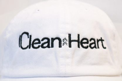 The Distressed Dad Hat