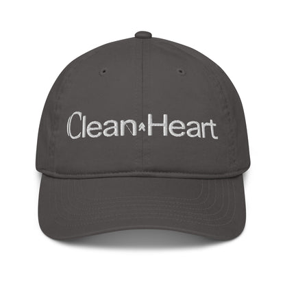 Dad hat Charcoal