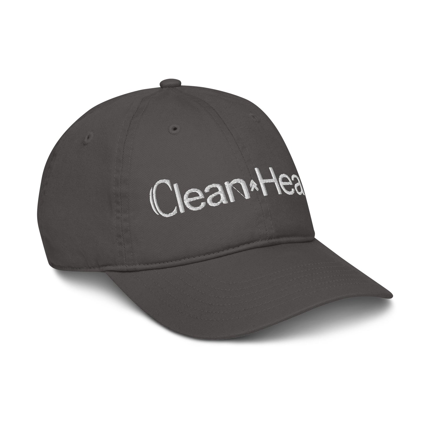 Dad hat Charcoal