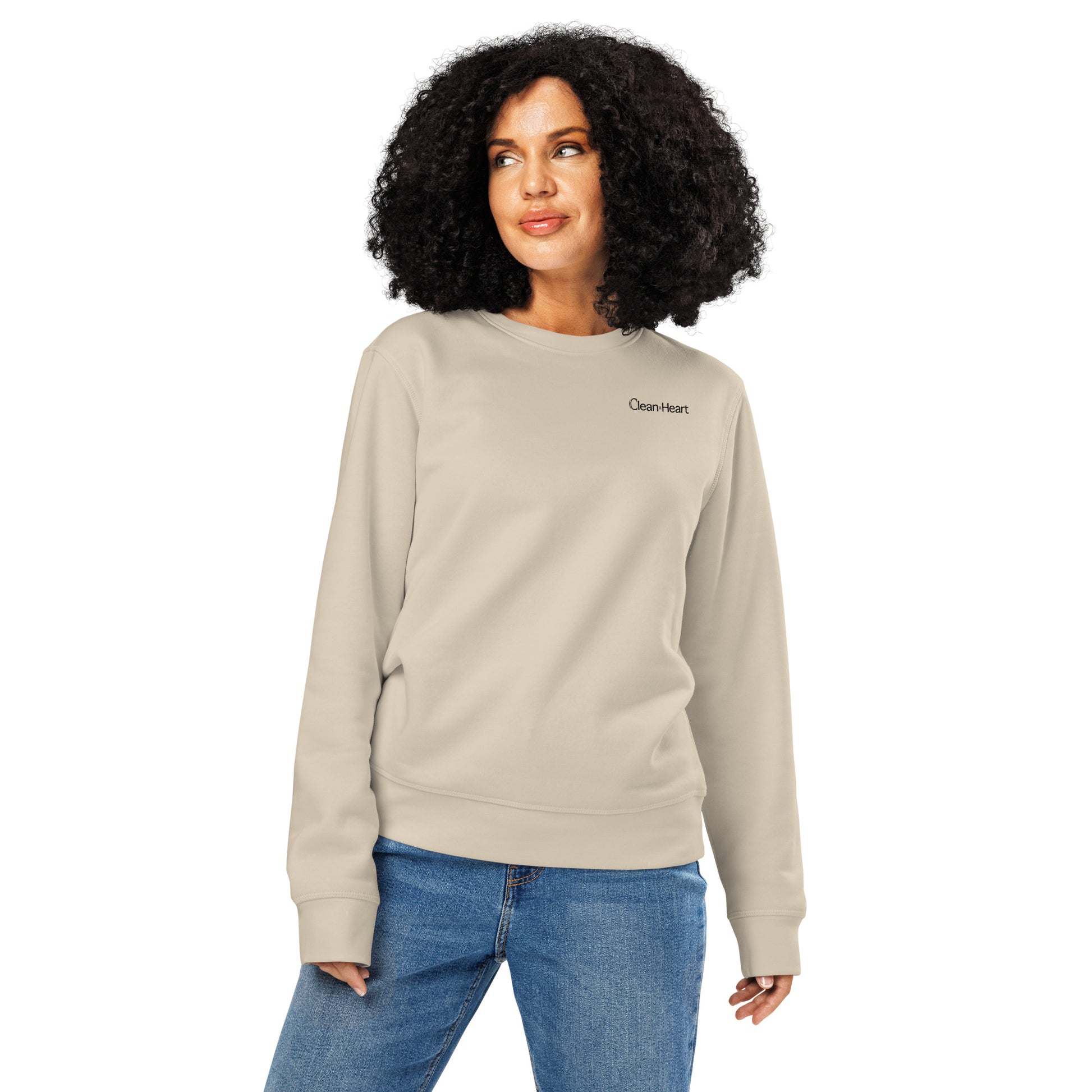 Sweatshirt Desert